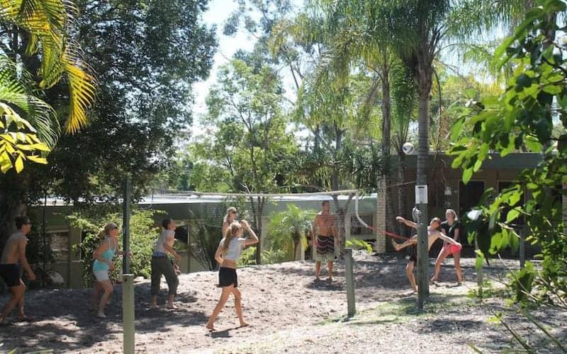 beach volleyball court nomads backpackers noosa