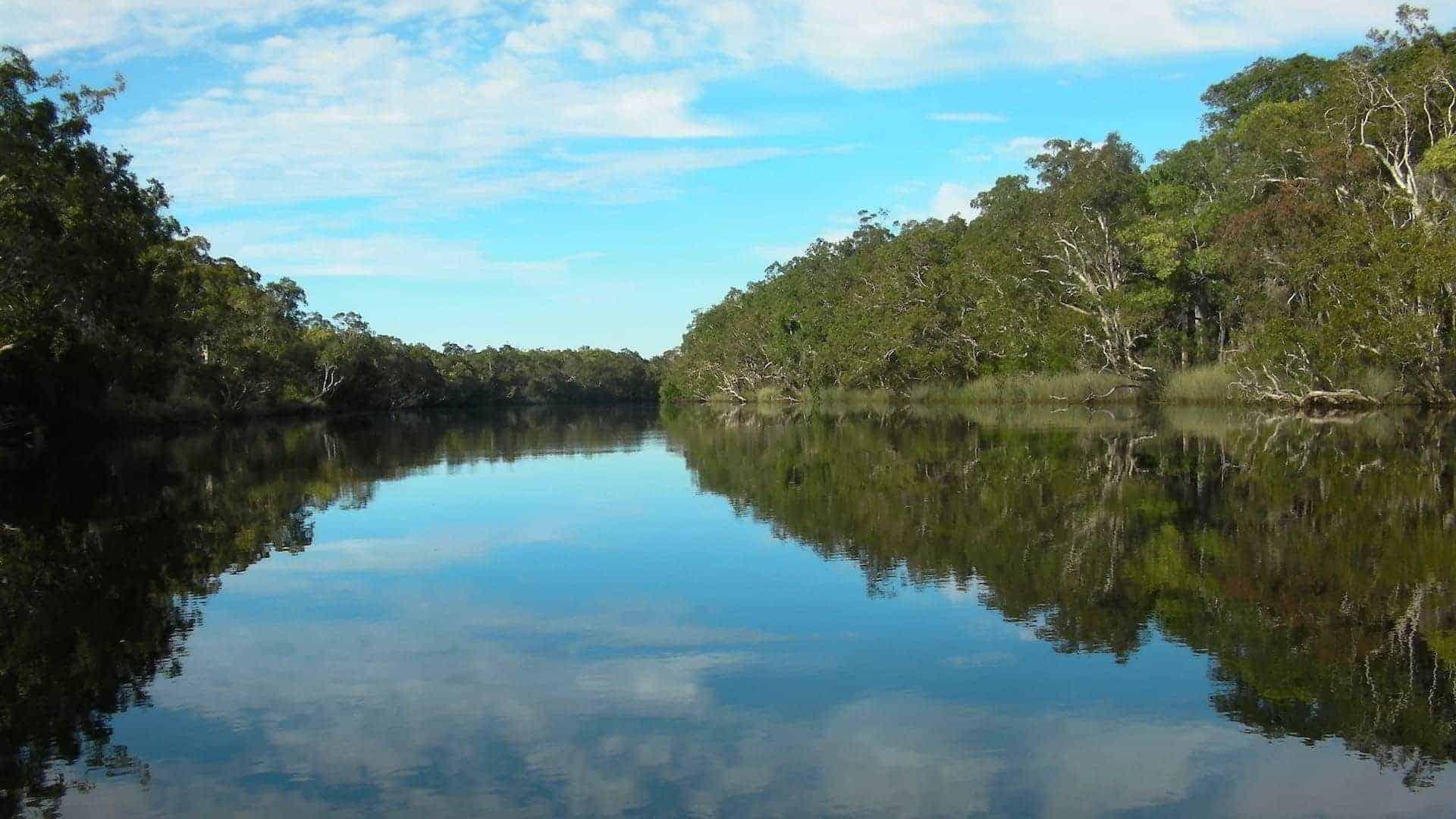 noosa everglades