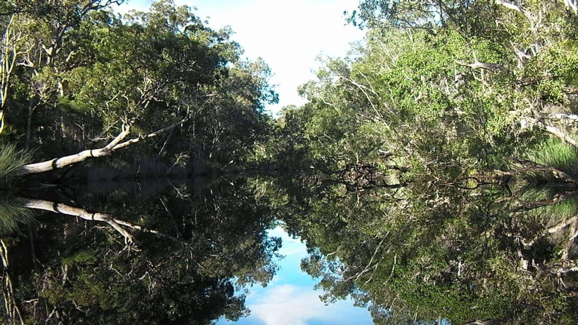 noosa everglades discovery group