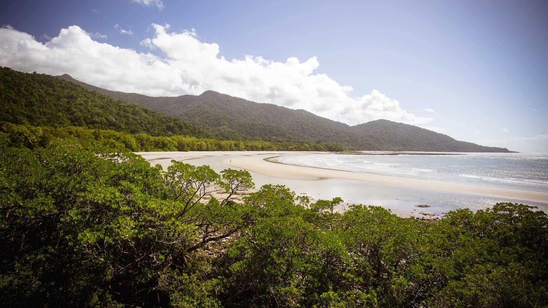 cape tribulation