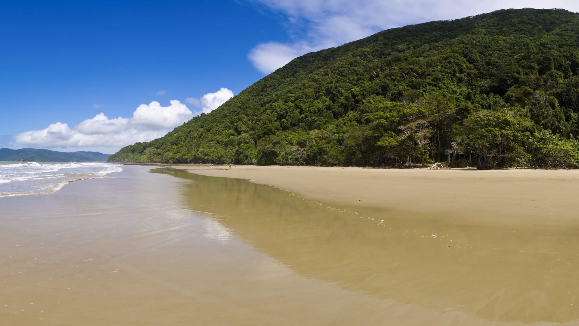 cape tribulation