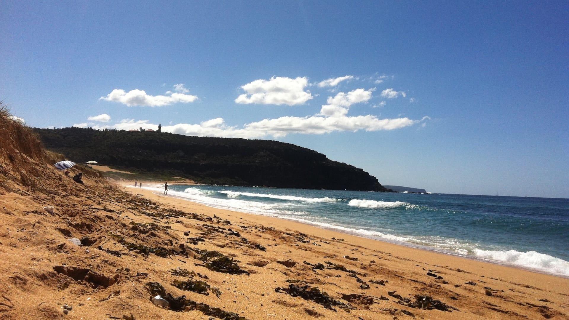 palm beach summer bay sydney
