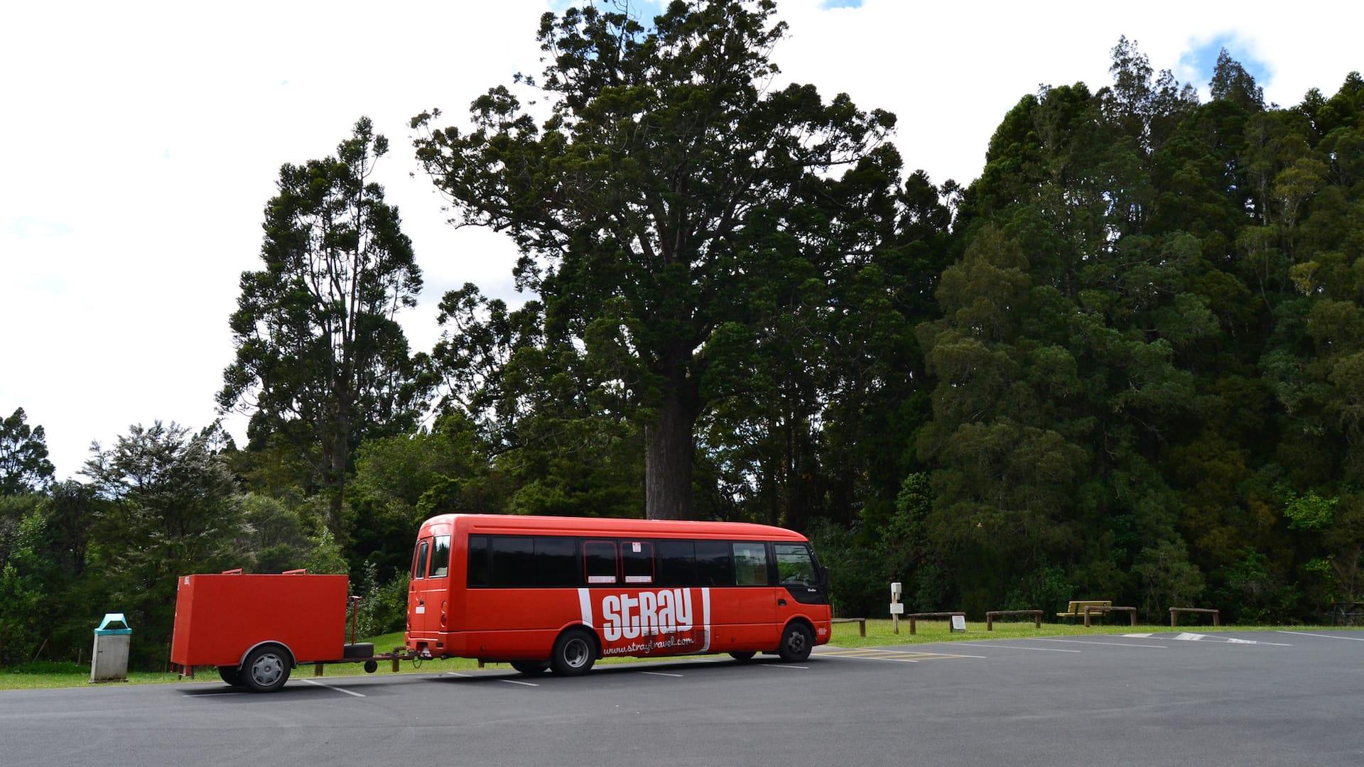 backpacker bus new zealand