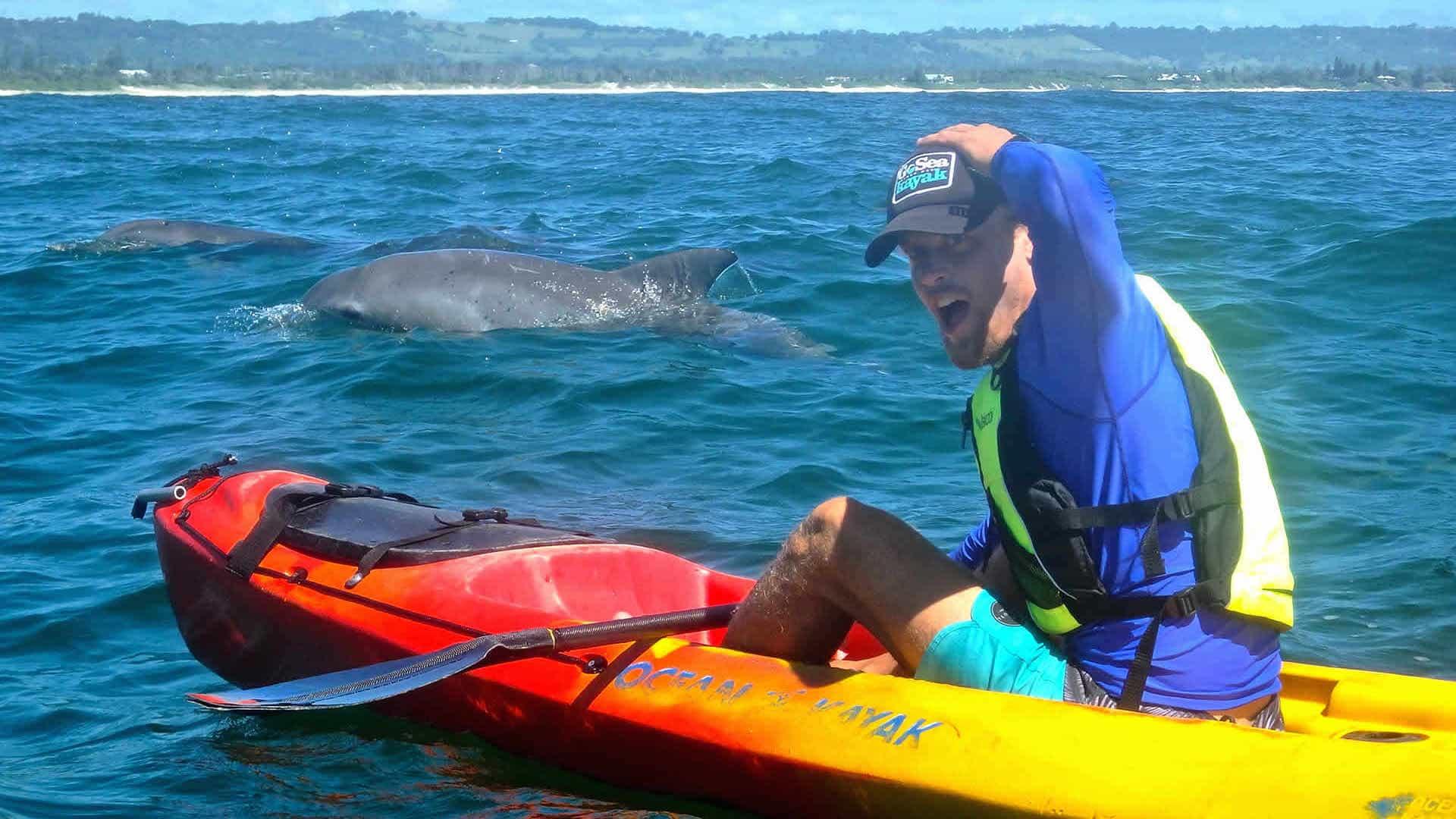 kayak with bottlenose dolphin