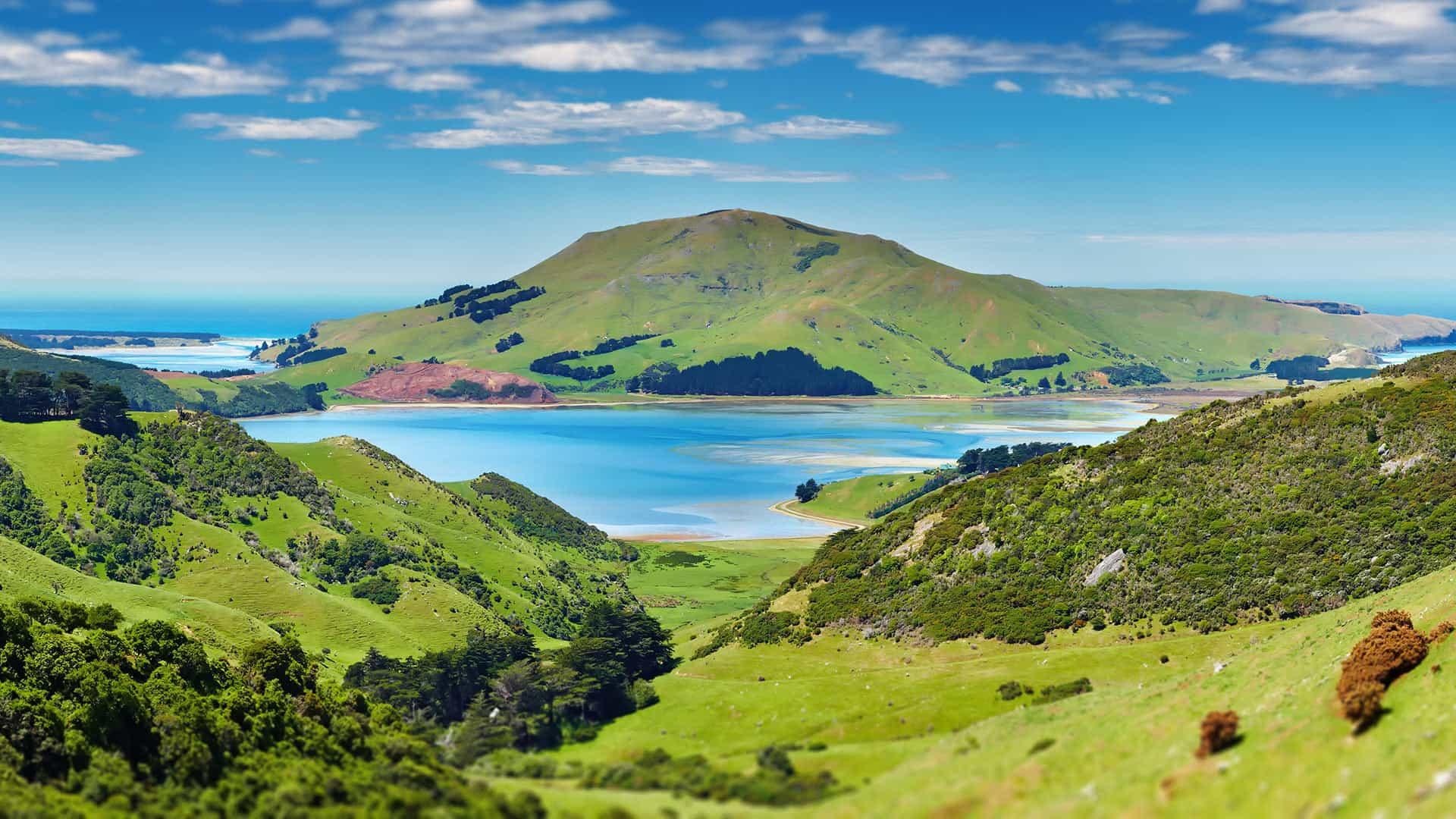 dunedin