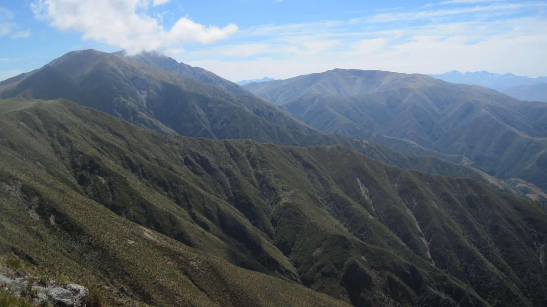 mt peel from peel forest