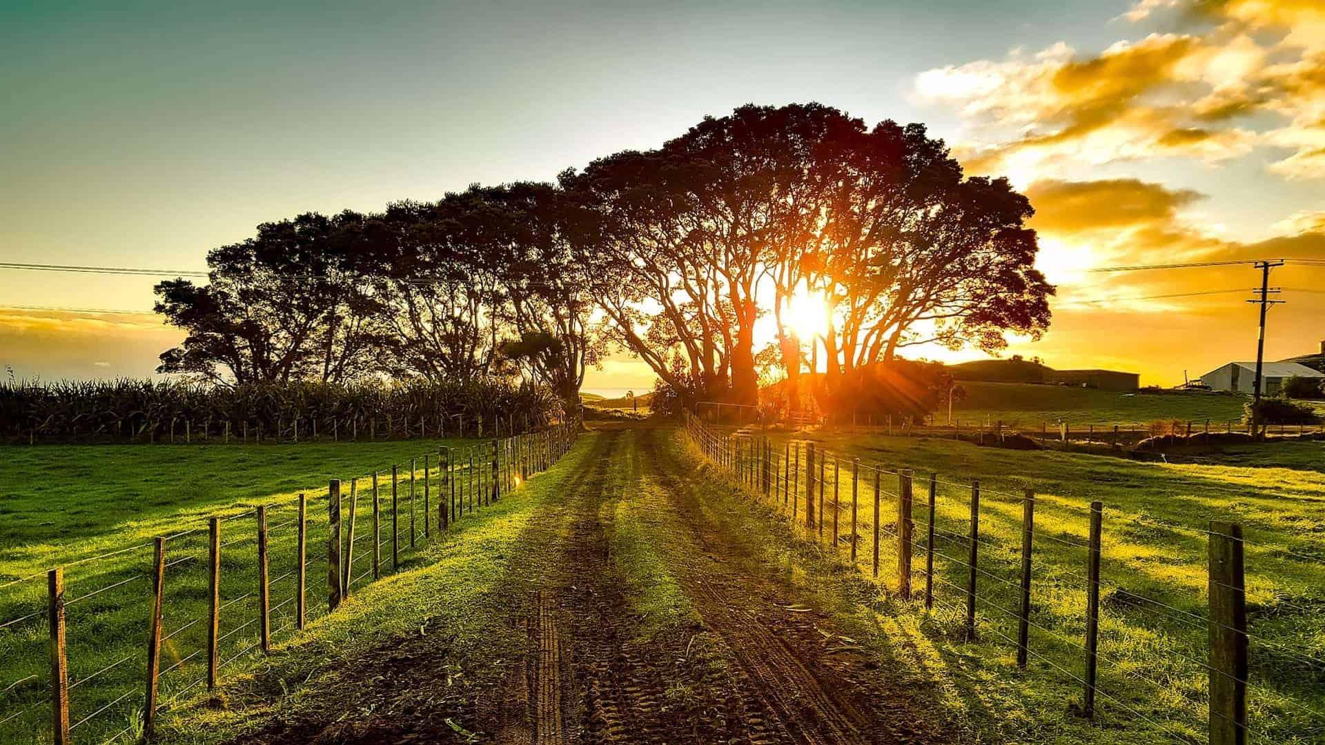 new zealand camping