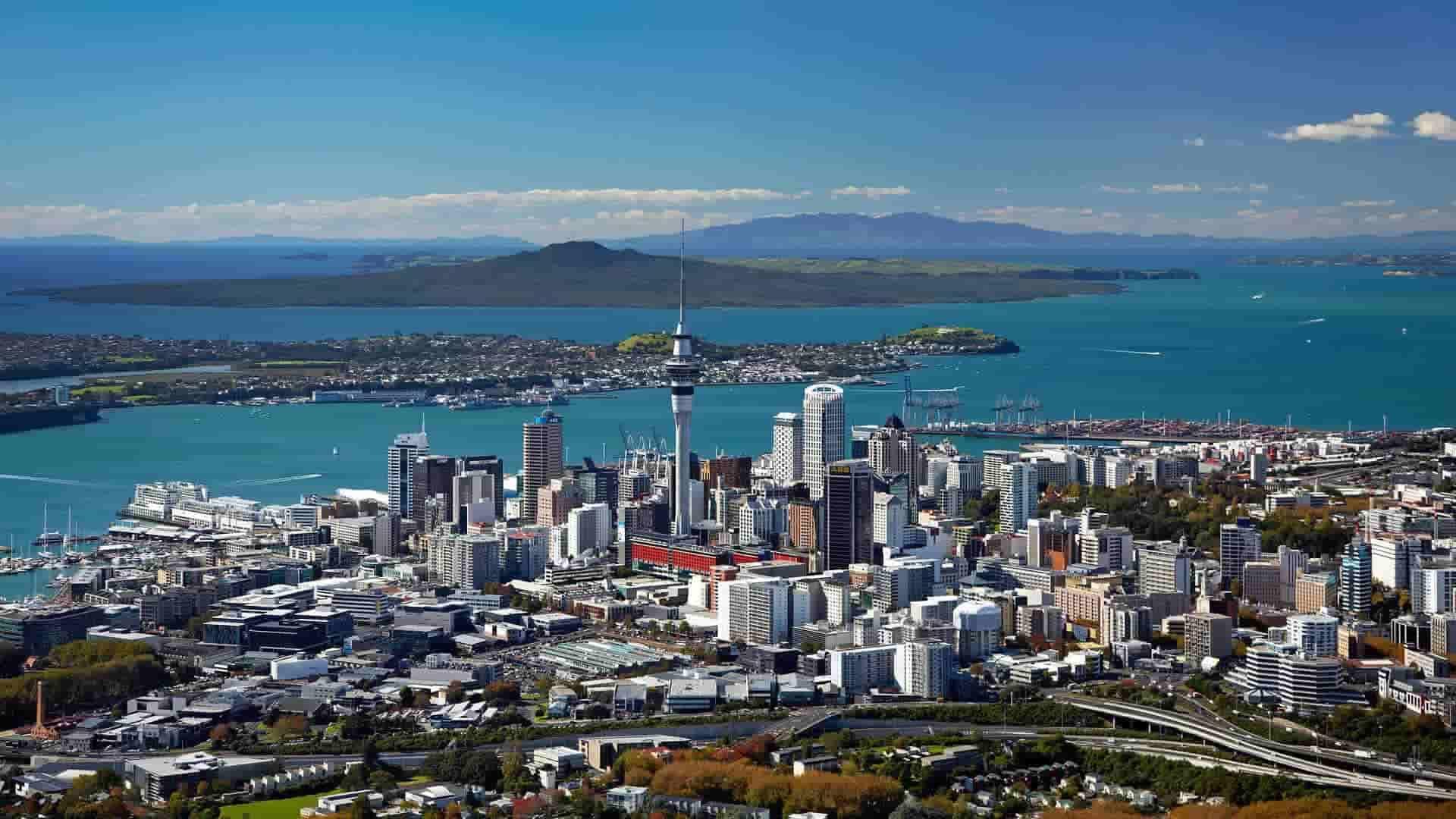 things to do in auckland in summer