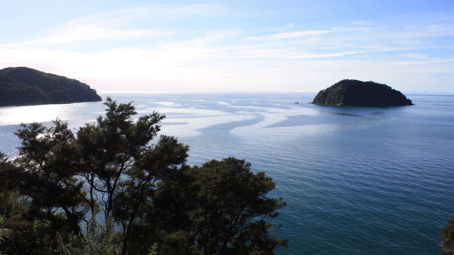 abel tasman