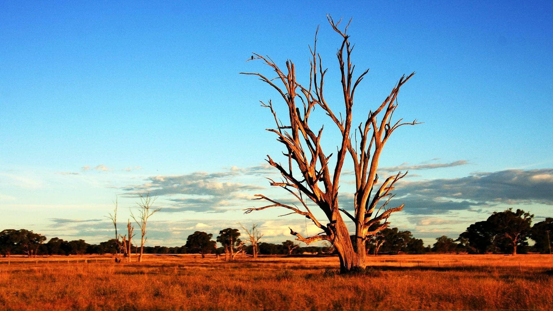 outback australia about australians