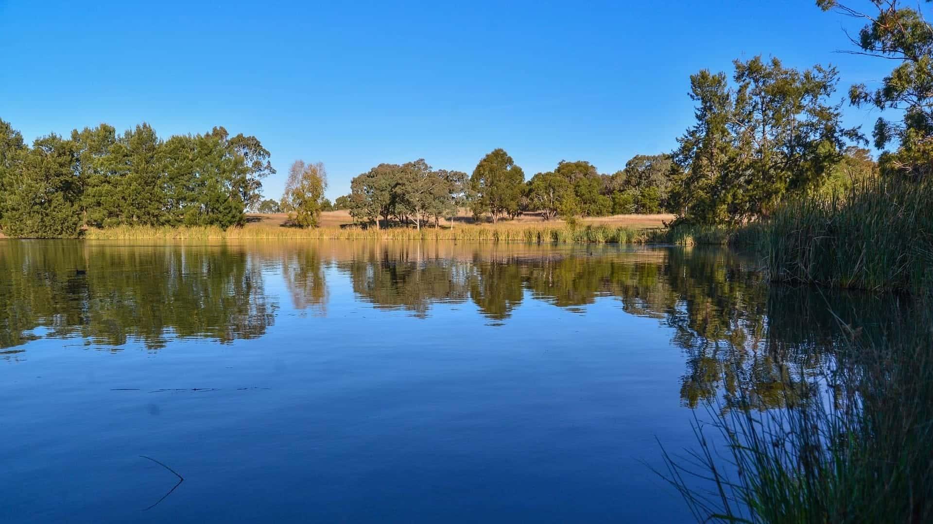 reasons to visit canberra