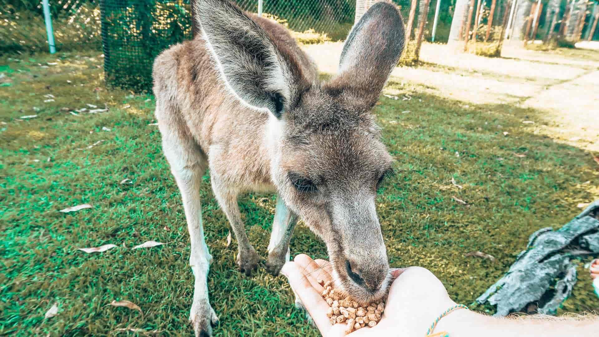 aussie bucketlist