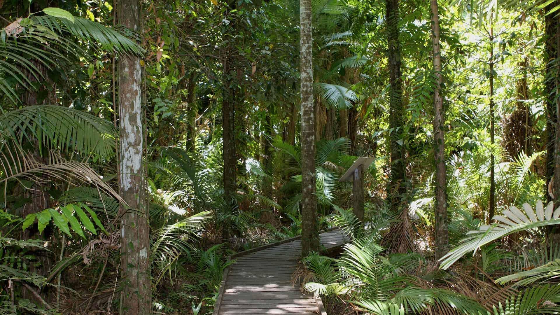 Cairns Botanic Gardens