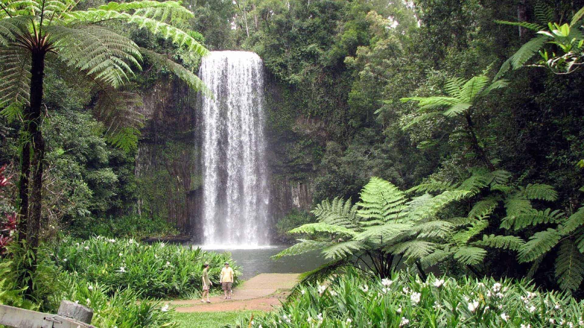 what to do in cairns millaa millaa falls atherton tablelands