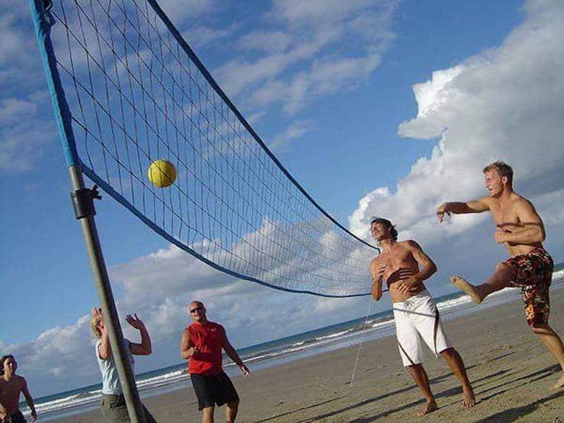 beach volleyball at arrawarra backpackers